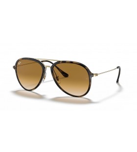 Ray-Ban RB4298 XXL (57 - 17) avec des lentilles Brunes et Tortoise frame Lunettes de soleil