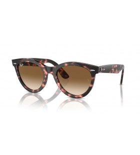 Ray-Ban RB2241 Wayfarer FaÃ§on XL (54 - 21) avec des lentilles Brunes et Tortoise frame Lunettes de soleil