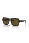 Ray-Ban RB4408 Magellan Bio-Based-L (54 - 19) mit Braunen Linsen und Tortoise frame Sonnenbrillen