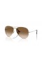 Ray-Ban RB8089 Aviator Titanium XXL (62 - 14) mit Braunen Linsen und Gold Rahmen Sonnenbrille