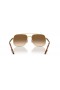 Ray-Ban RB3699 M (56 - 18) mit Braunen Linsen und Gold Rahmen Sonnenbrille