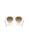 Ray-Ban RBR0103S Runde Umgekehrte L (53 - 21) mit Braunen Linsen und Gold Rahmen Sonnenbrille