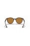 Ray-Ban RB4305 M (53 - 19) mit Braunen Linsen und Tortoise frame Sonnenbrillen