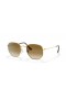 Ray-Ban RB3548 Sechskant-M (51 - 21) mit Braunen Linsen und Gold Rahmen Sonnenbrille