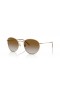 Ray-Ban RBR0103S Runde Umgekehrte L (53 - 21) mit Braunen Linsen und Gold Rahmen Sonnenbrille