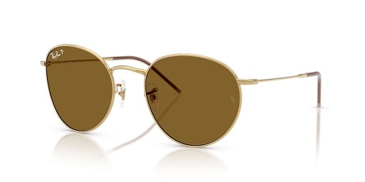Ray-Ban RBR0103S γύρω από την Αντίστροφη L (53 - 21) με Καφέ φακούς και γυαλιά Ηλίου πλαισίων Χρυσή