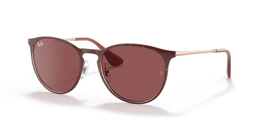 Ray-Ban RB3539 Erika Μετάλλων M (54 - 19) με τη Βιολέτα φακούς και γυαλιά Ηλίου πλαισίων Tortoise