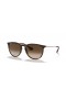 Ray-Ban RB4171F Erika Κλασικό M (54 - 18) με Καφέ φακούς και γυαλιά Ηλίου πλαισίων Tortoise