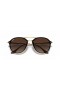 Ray-Ban RB4292N Blaze Διπλή Γέφυρα XL (61 - 14) με Καφέ φακούς και γυαλιά Ηλίου πλαισίων Tortoise