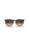Ray-Ban RB4171F Erika Κλασικό M (54 - 18) με Καφέ φακούς και γυαλιά Ηλίου πλαισίων Tortoise
