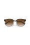 Ray-Ban RB4416 Νέα Clubmaster XL (53 - 20) με Καφέ φακούς και γυαλιά Ηλίου πλαισίων Tortoise