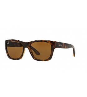 Ray-Ban RB4194 L (53 - 17) με Καφέ φακούς και γυαλιά Ηλίου πλαισίων Tortoise