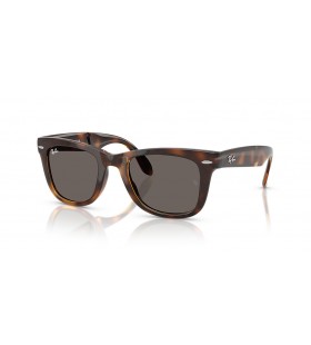 Ray-Ban RB4105 Wayfarer Folding Classic L (50 - 22) Î¼Îµ Î“ÎºÏÎ¹ Ï†Î±ÎºÎ¿ÏÏ‚ ÎºÎ±Î¹ Î³Ï…Î±Î»Î¹Î¬ Î—Î»Î¯Î¿Ï… Ï€Î»Î±Î¹ÏƒÎ¯Ï‰Î½ Tortoise